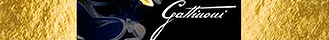 Grafica invito Gattinoni